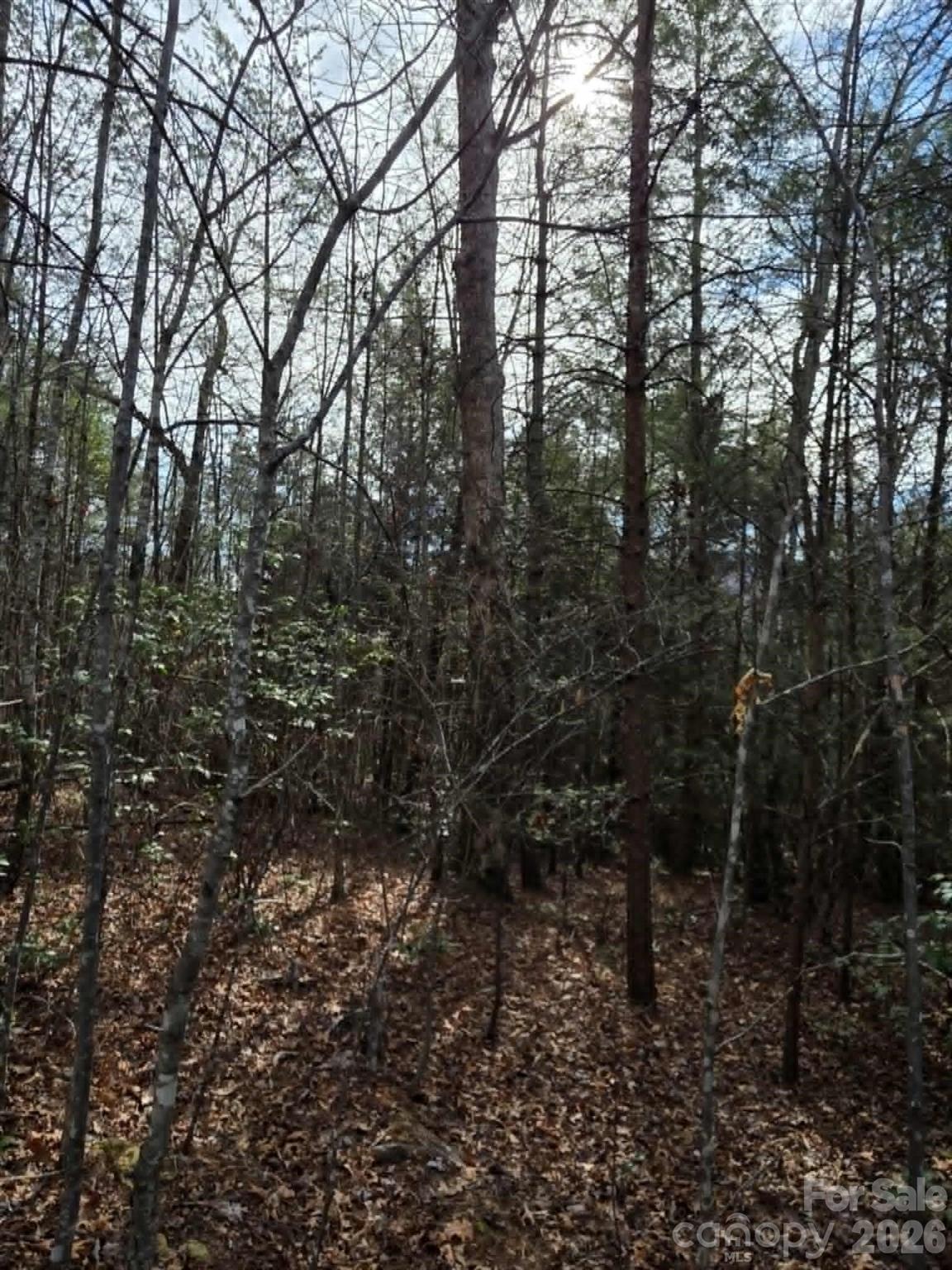 Lot 6 Kerlee Lane Old Fort NC 28762