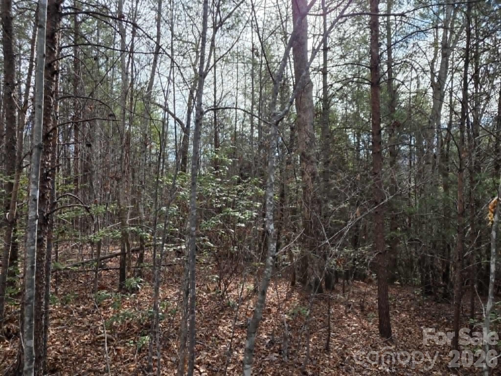 Lot 6 Kerlee Lane Old Fort NC 28762