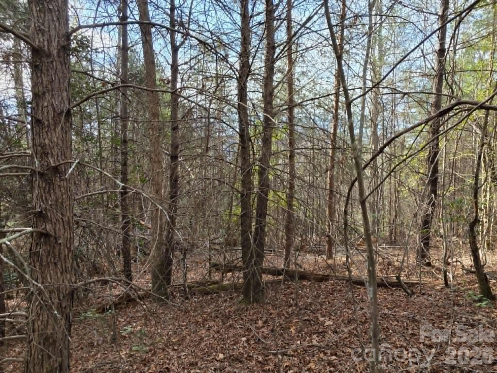 Lot 6 Kerlee Lane Old Fort NC 28762