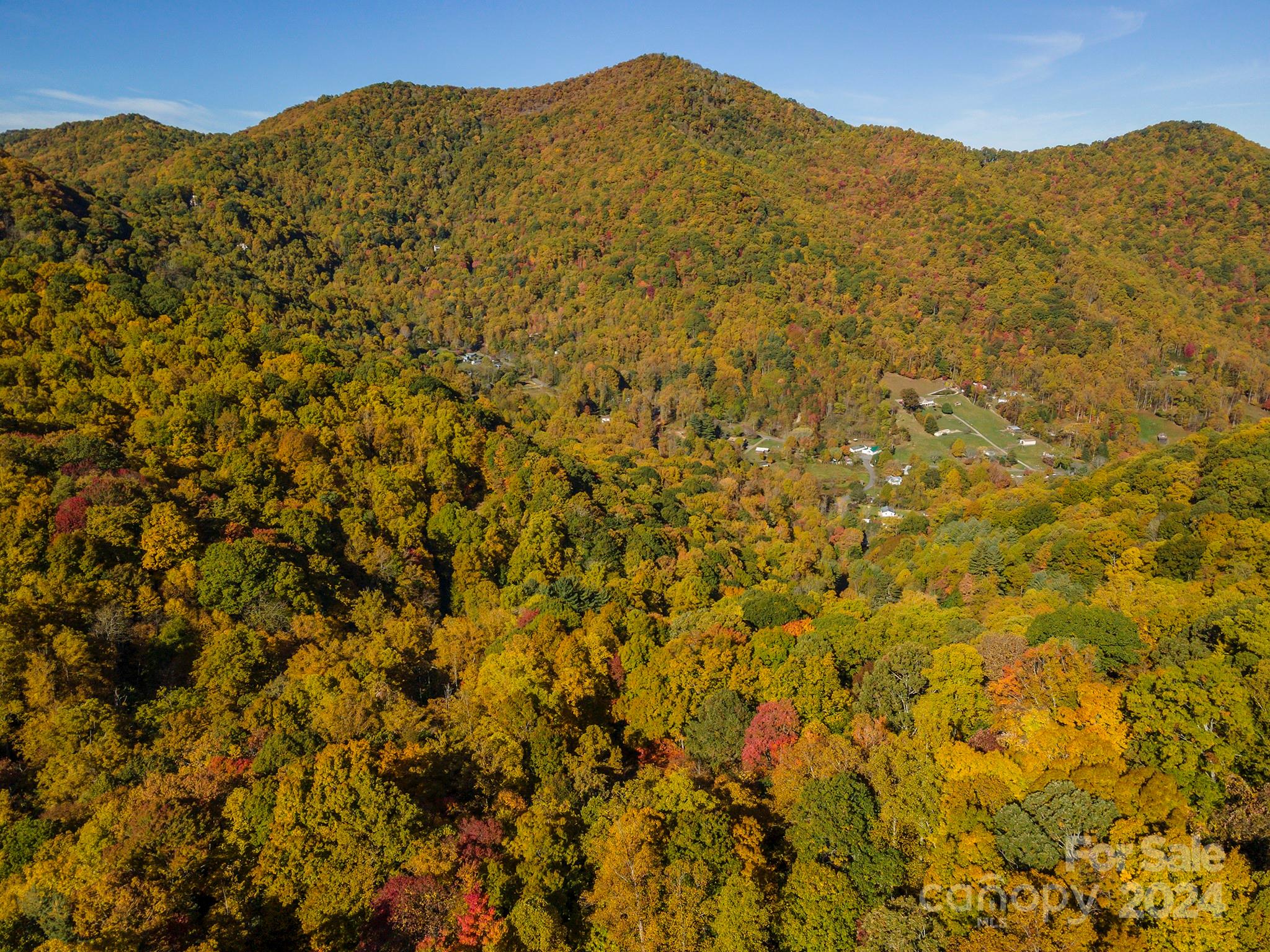 99999 Harwood Road Barnardsville NC 28709