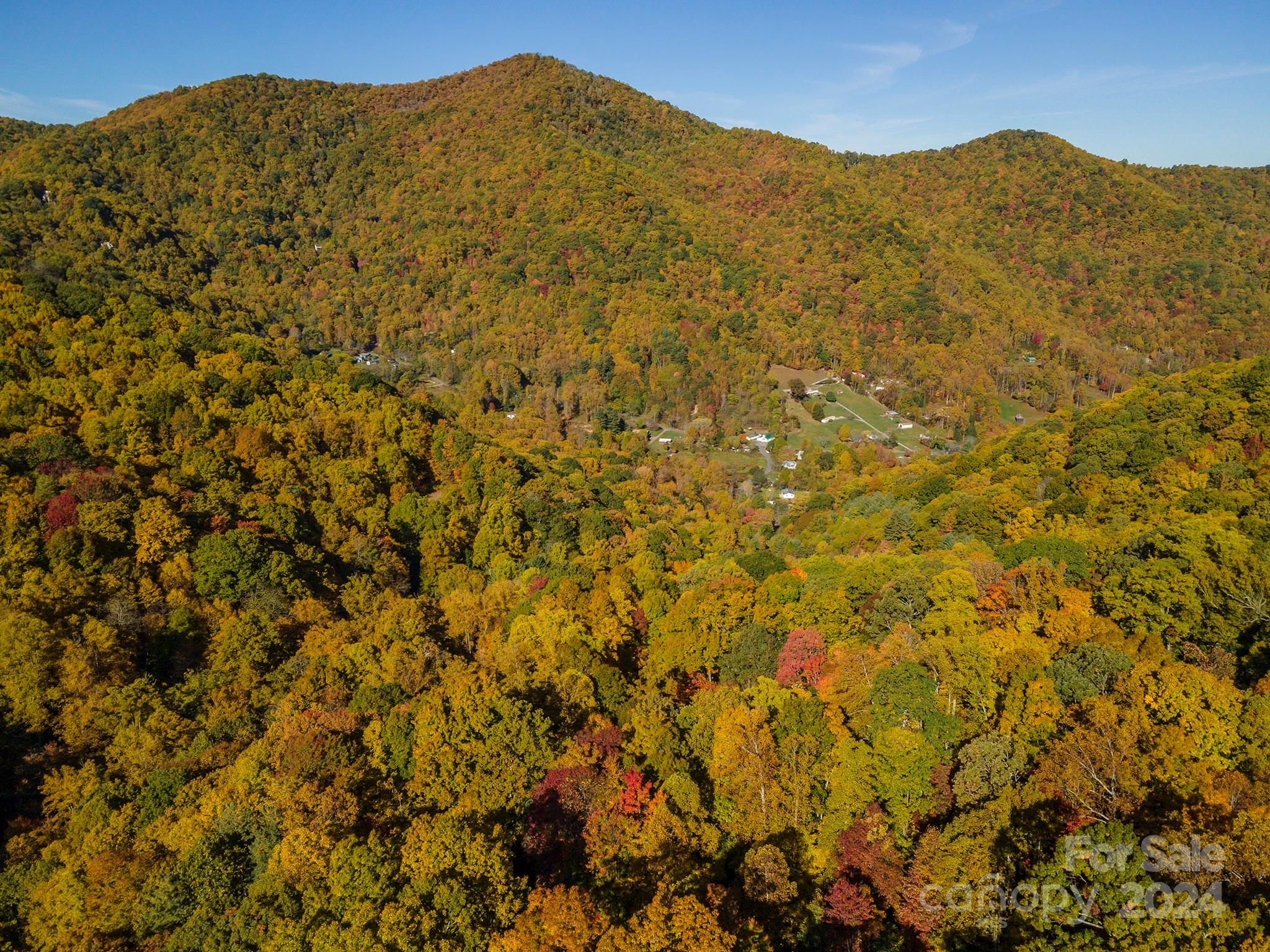 99999 Harwood Road Barnardsville NC 28709