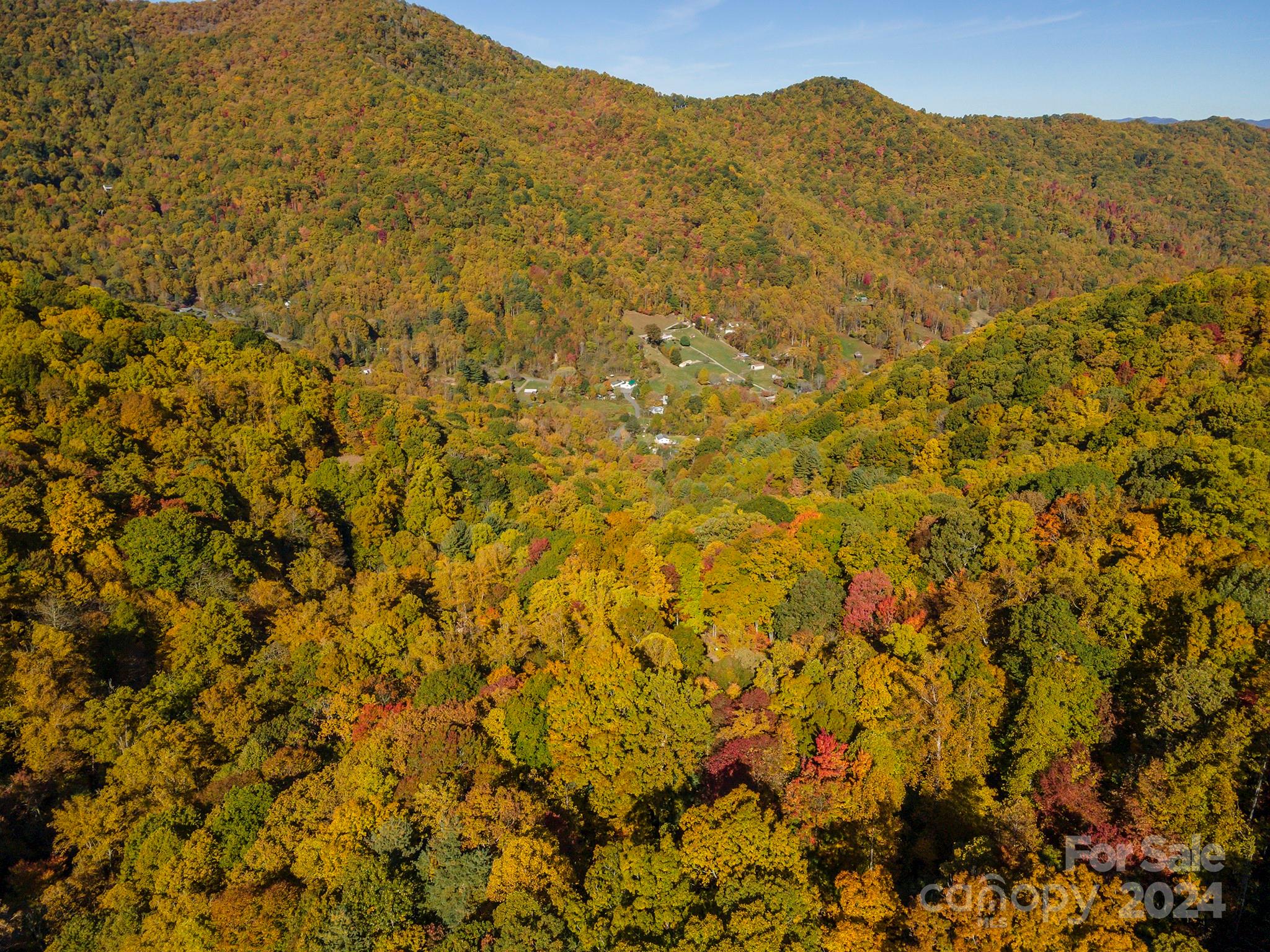 99999 Harwood Road Barnardsville NC 28709