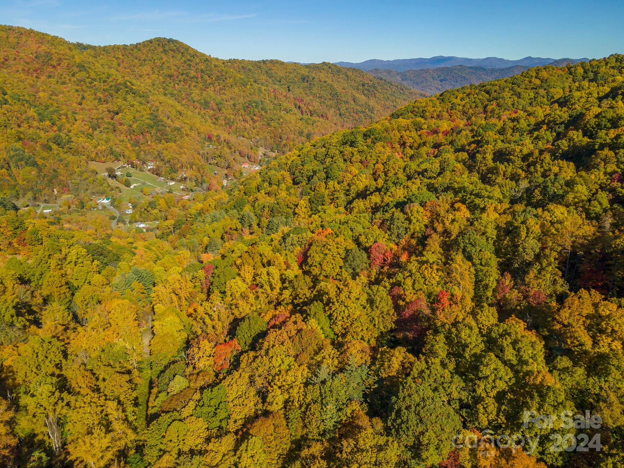 99999 Harwood Road Barnardsville NC 28709