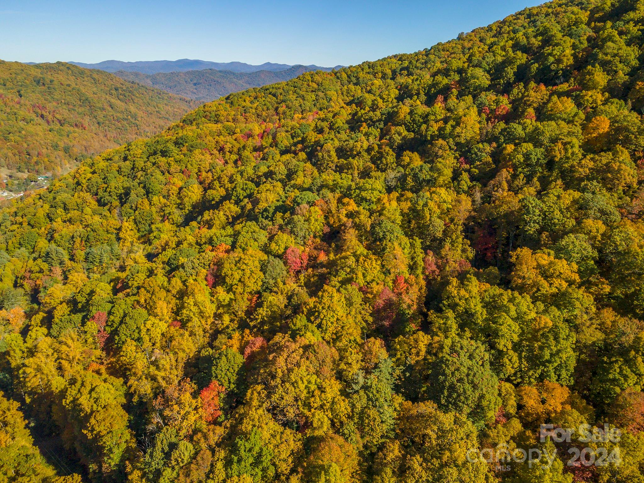 99999 Harwood Road Barnardsville NC 28709