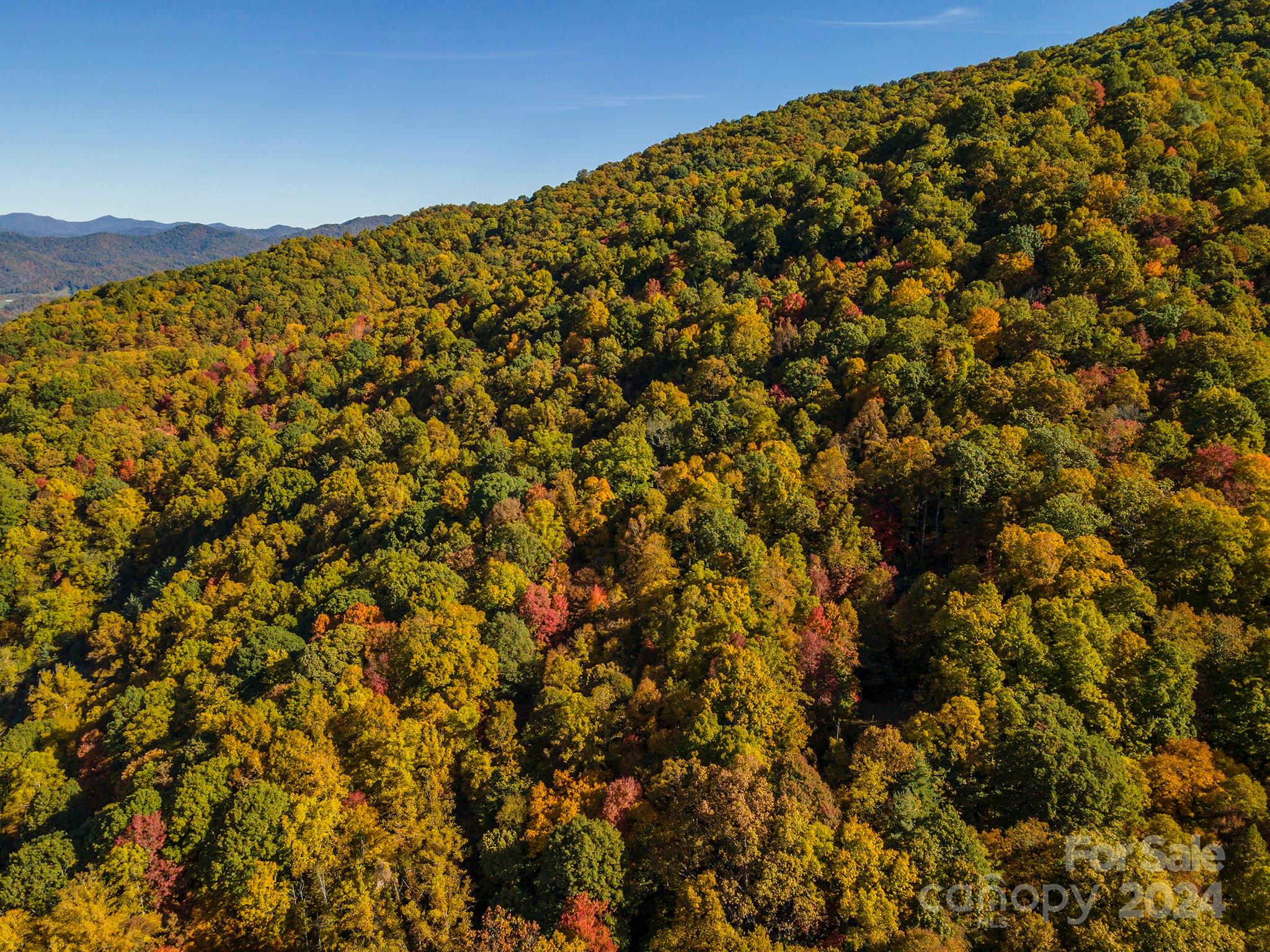 99999 Harwood Road Barnardsville NC 28709