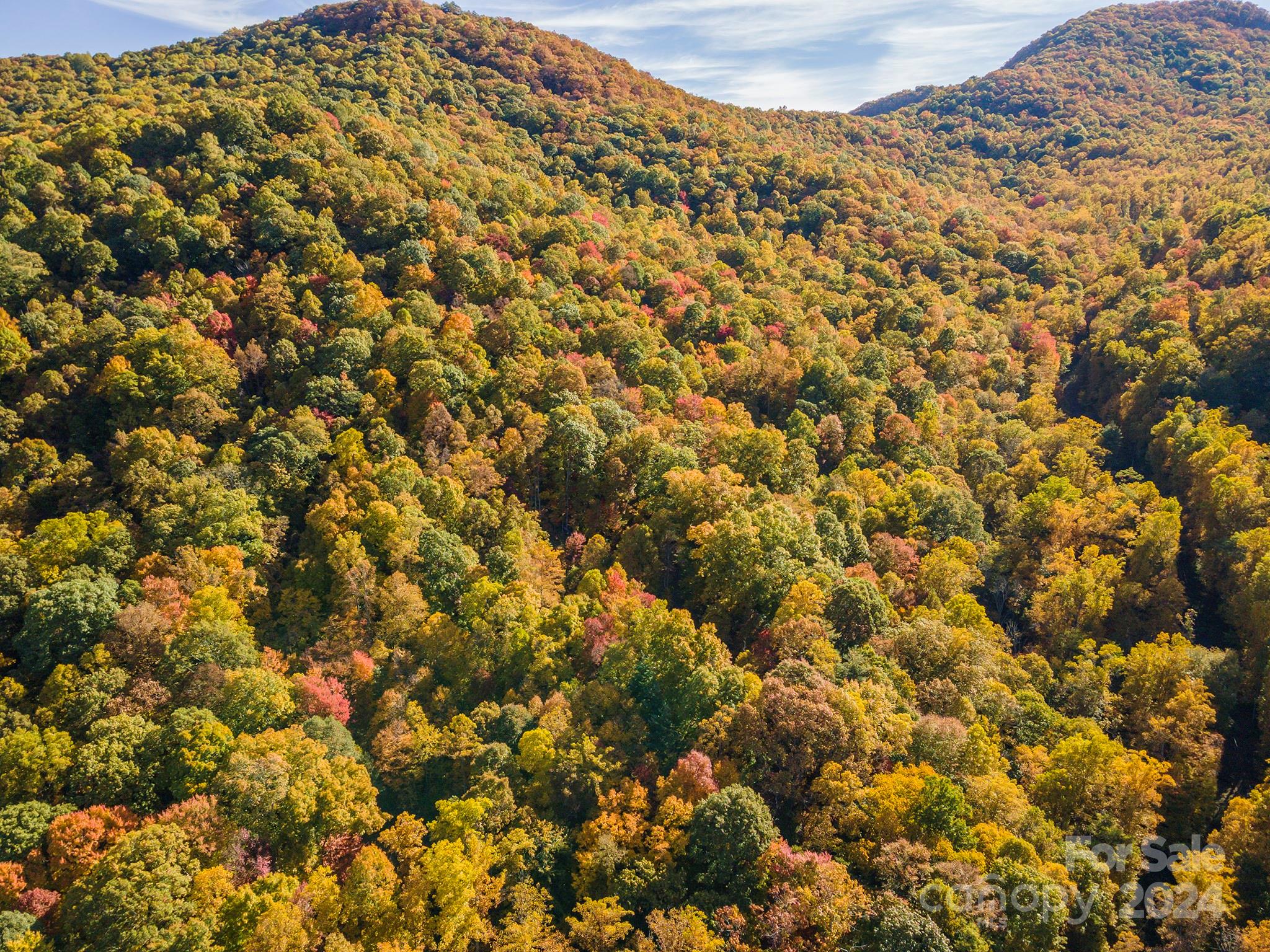 99999 Harwood Road Barnardsville NC 28709