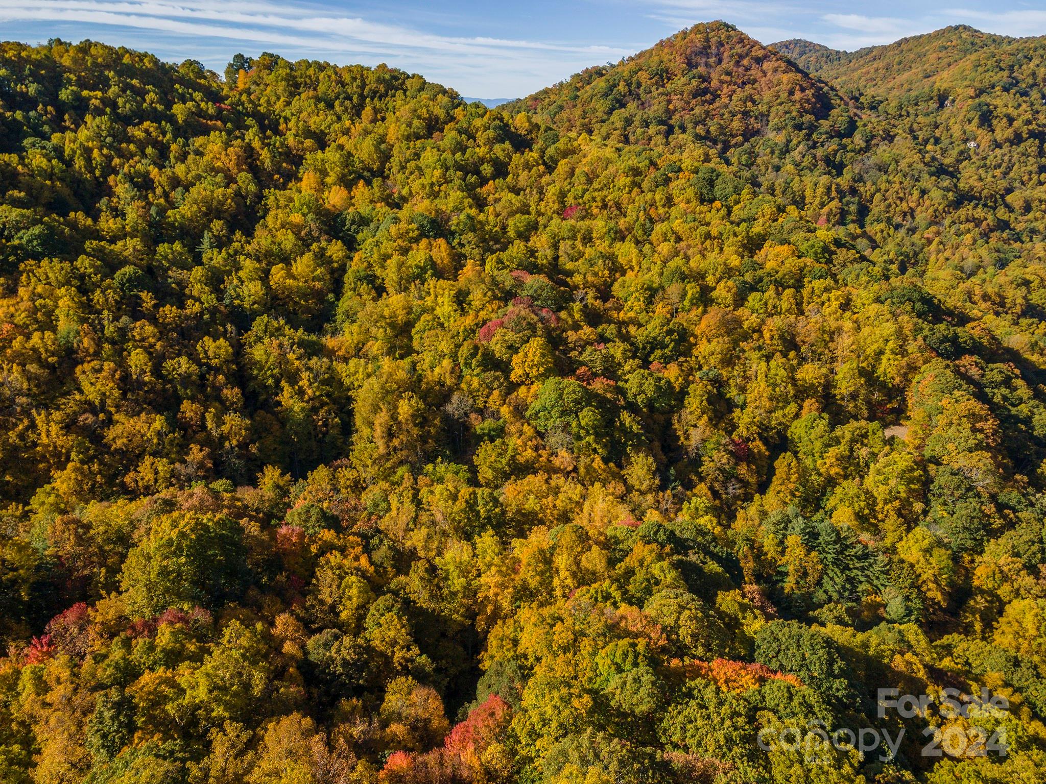 99999 Harwood Road Barnardsville NC 28709