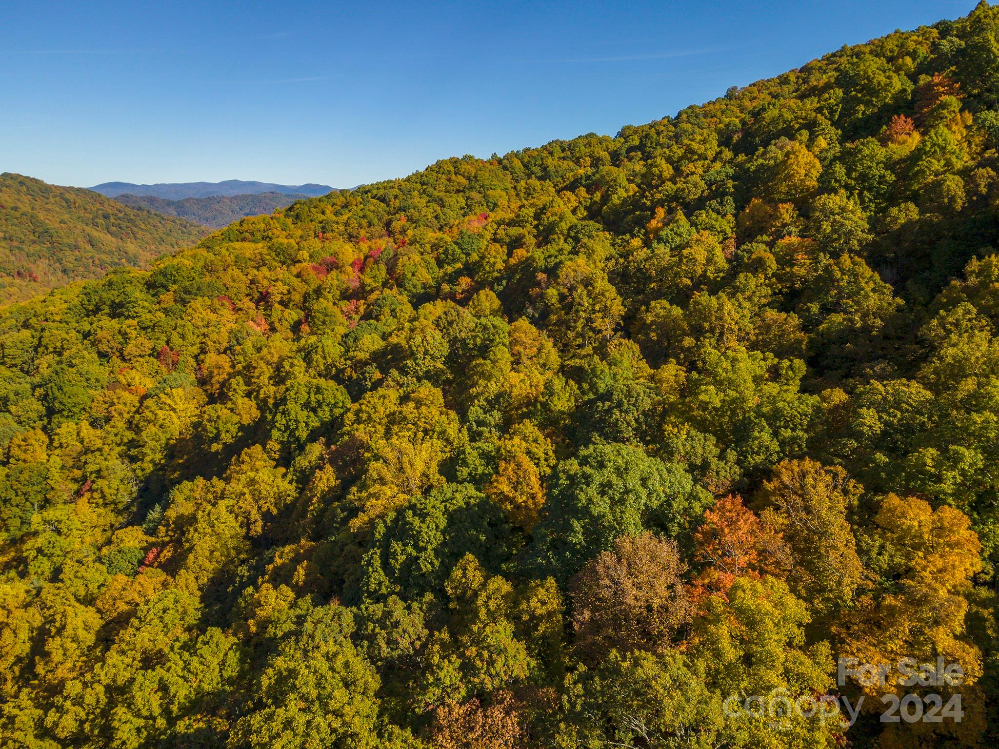 99999 Harwood Road Barnardsville NC 28709