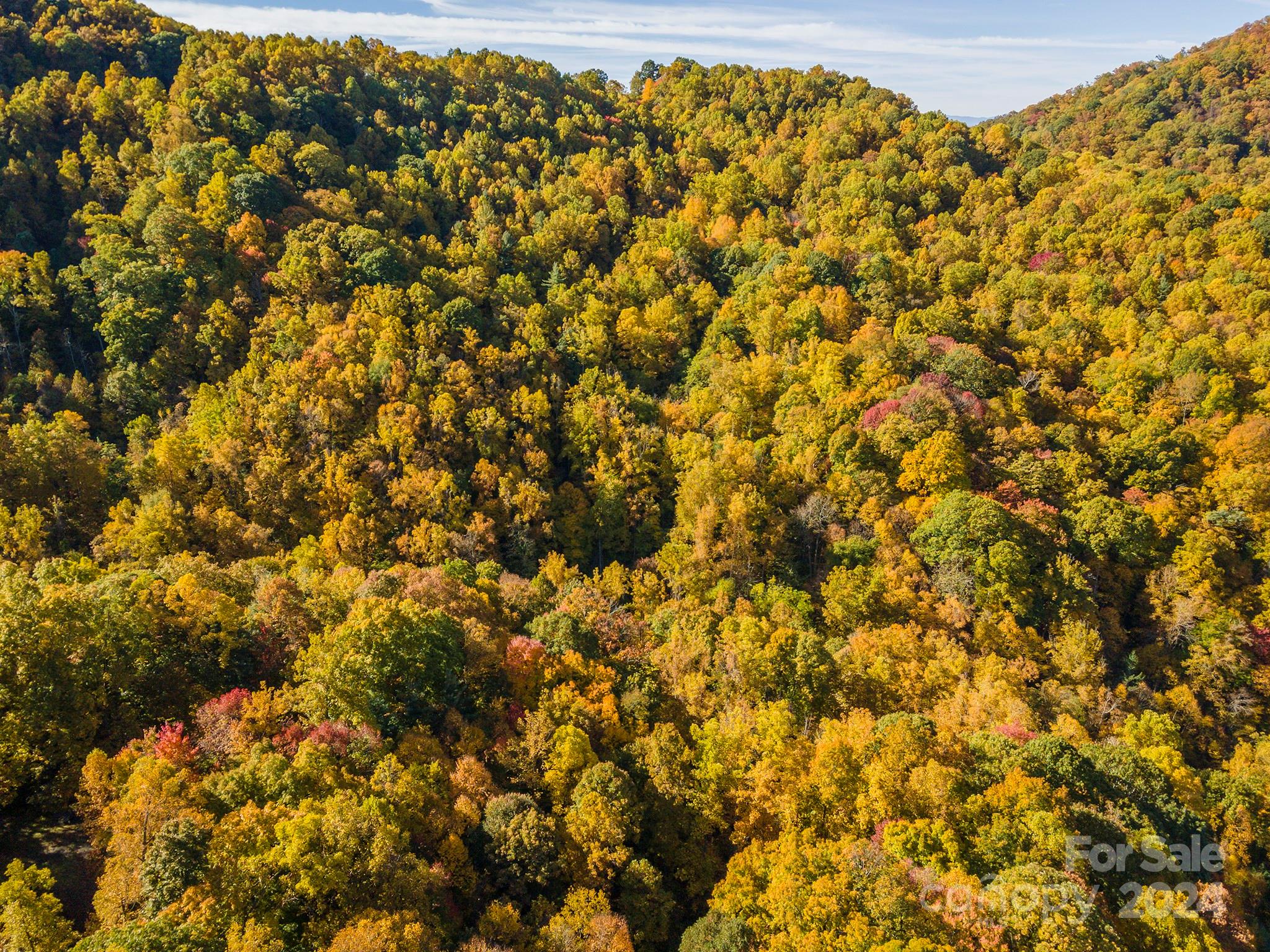 99999 Harwood Road Barnardsville NC 28709