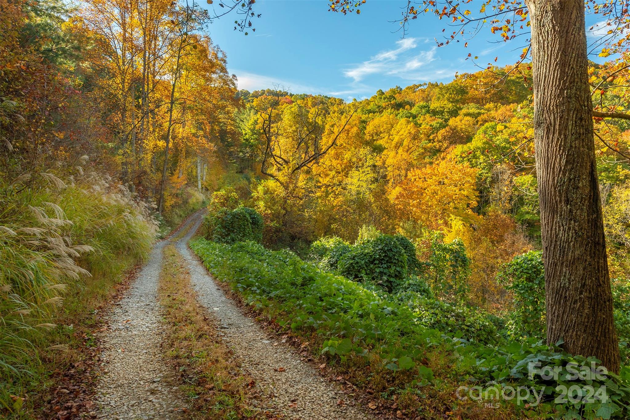 99999 Harwood Road Barnardsville NC 28709