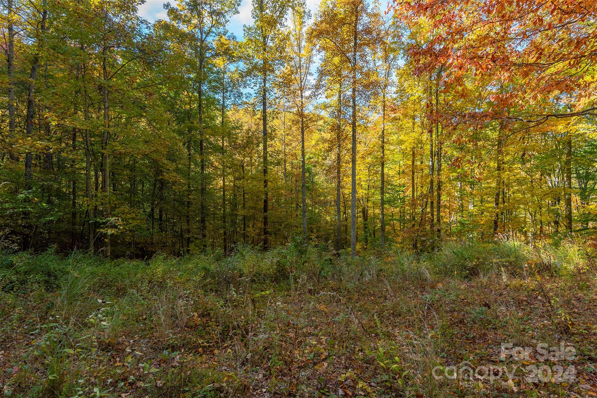 99999 Harwood Road Barnardsville NC 28709
