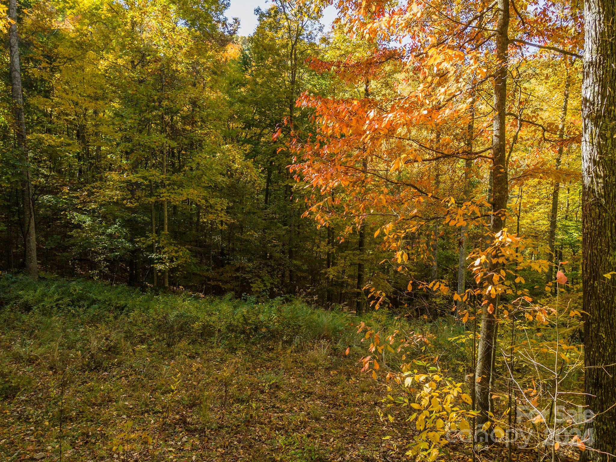 99999 Harwood Road Barnardsville NC 28709