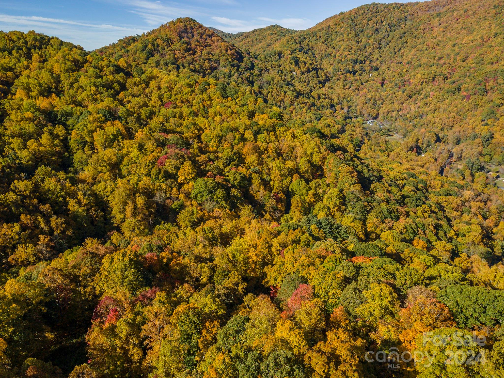 99999 Harwood Road Barnardsville NC 28709
