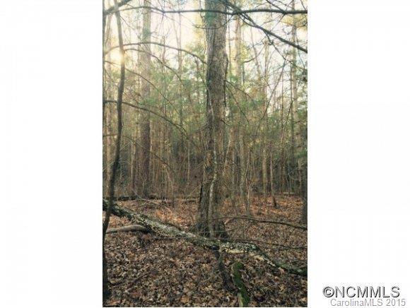 000 Bridgewater Drive Fletcher NC 28732