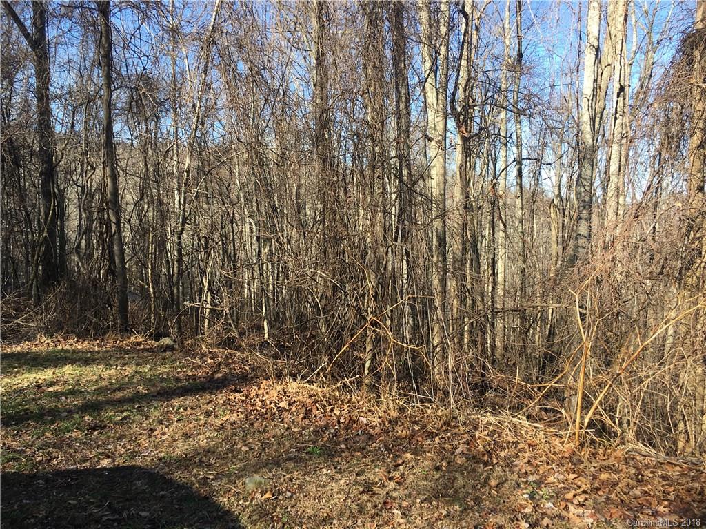 104 Aster Ridge Trail Swannanoa NC 28778