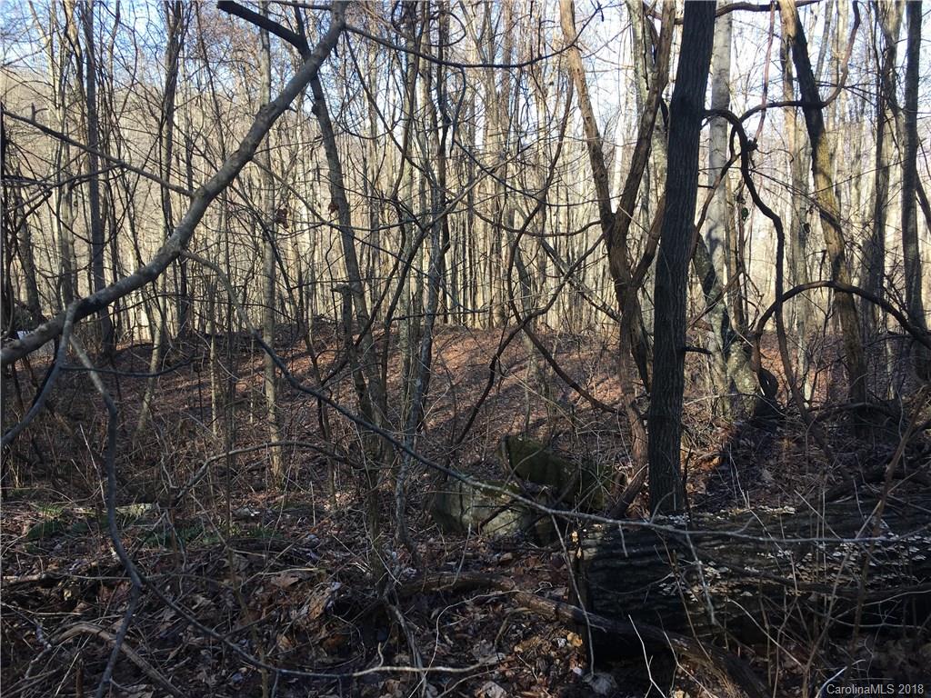 104 Aster Ridge Trail Swannanoa NC 28778