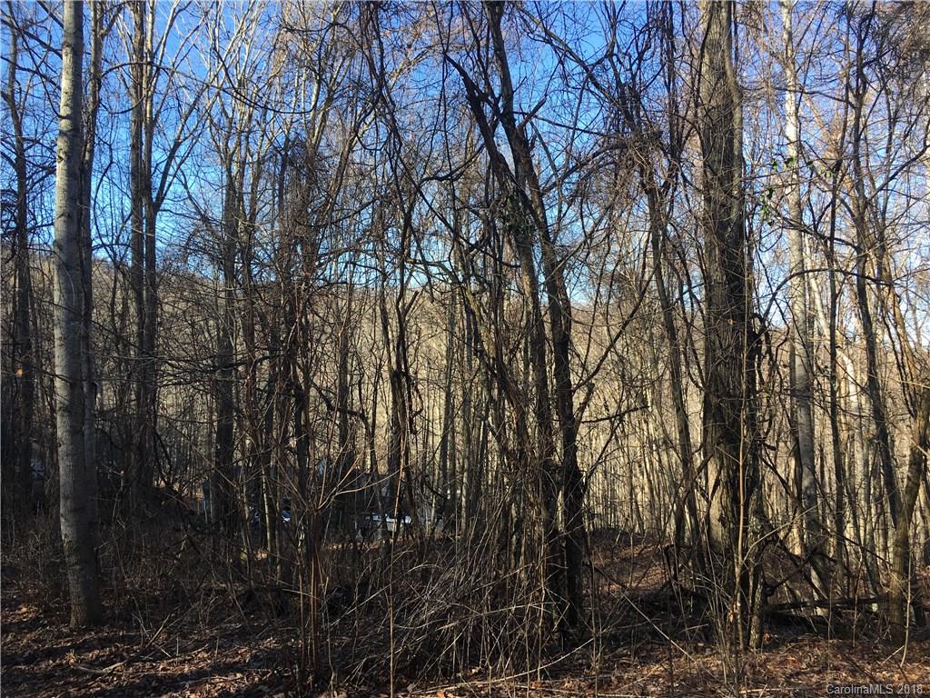 104 Aster Ridge Trail Swannanoa NC 28778