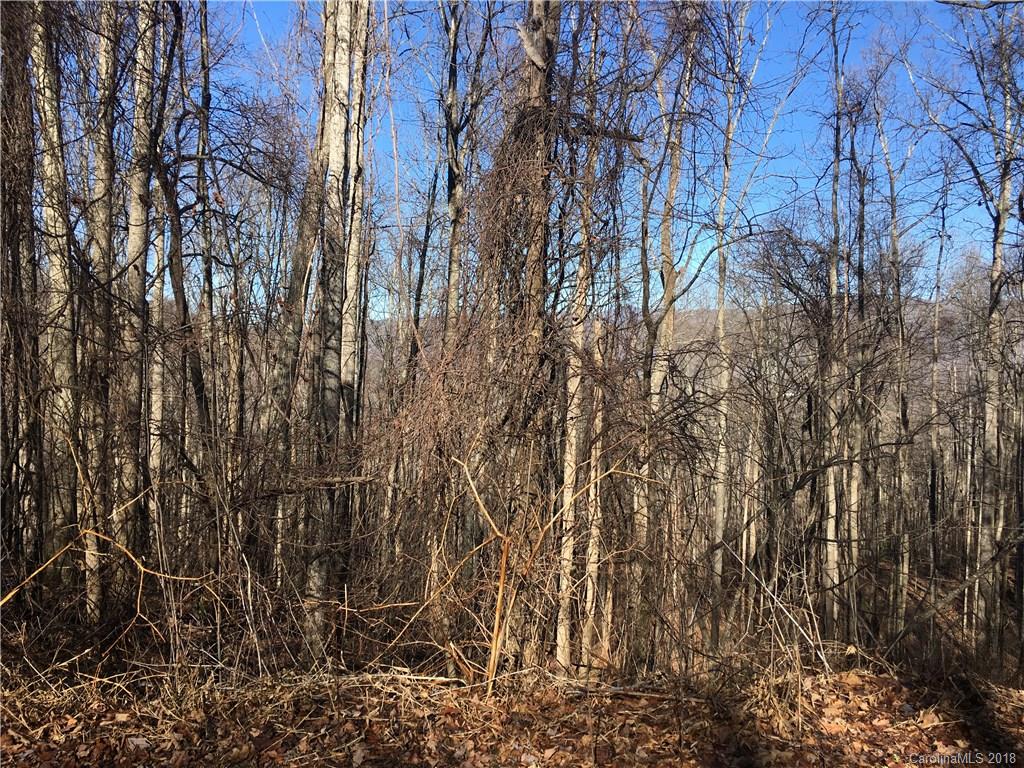 104 Aster Ridge Trail Swannanoa NC 28778