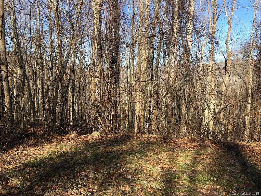 104 Aster Ridge Trail Swannanoa NC 28778