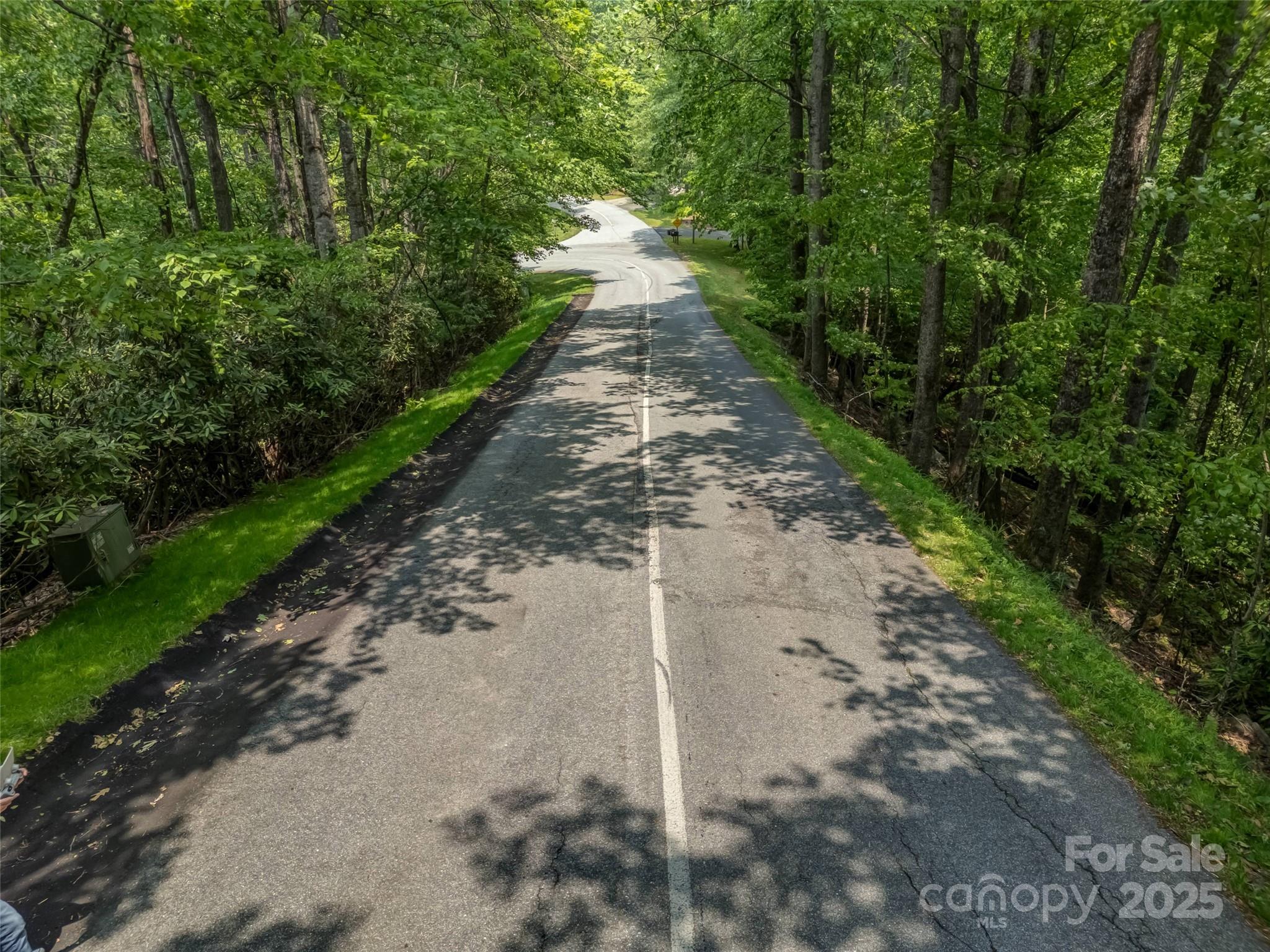 0000 Dotsi Drive Brevard NC 28712
