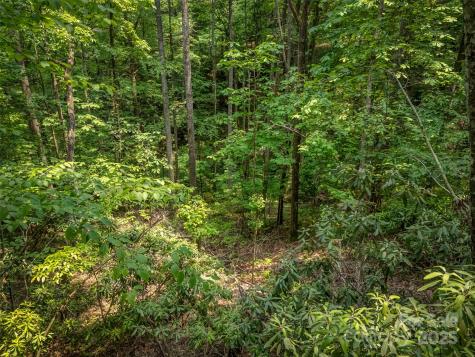 0000 Dotsi Drive Brevard NC 28712