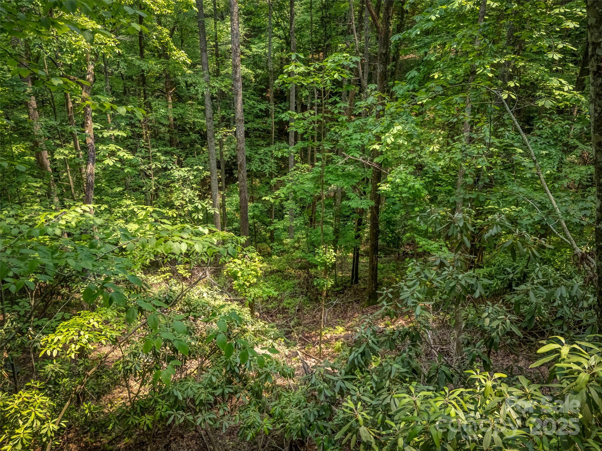 0000 Dotsi Drive Brevard NC 28712