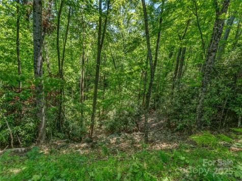 0000 Dotsi Drive Brevard NC 28712