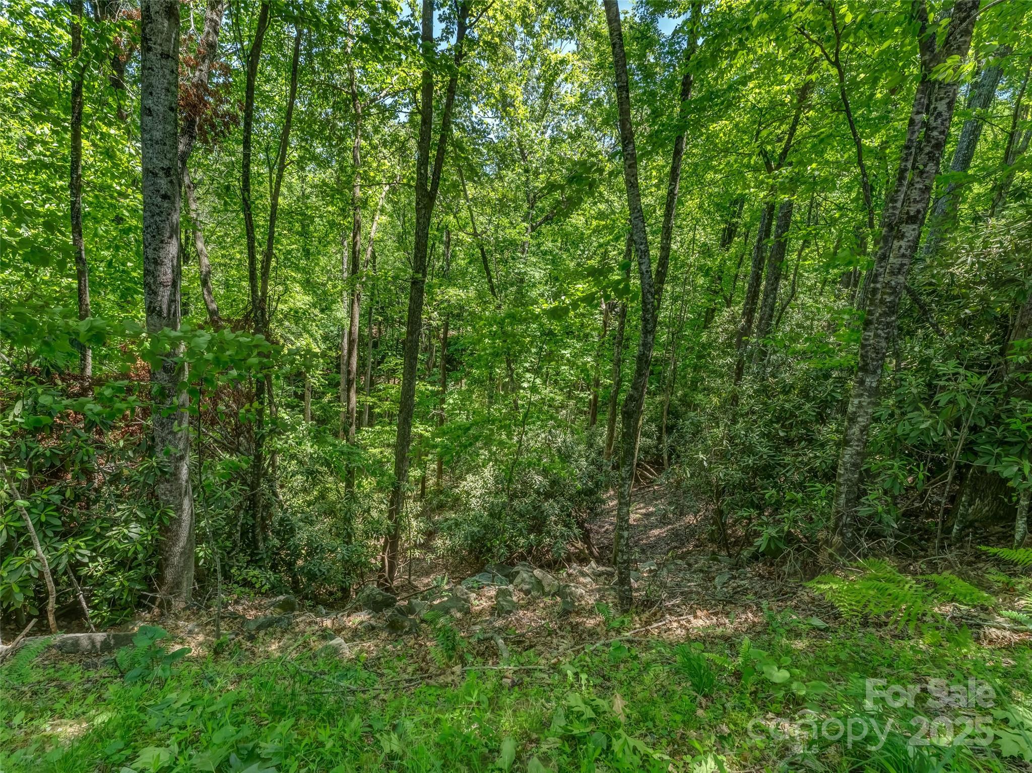 0000 Dotsi Drive Brevard NC 28712