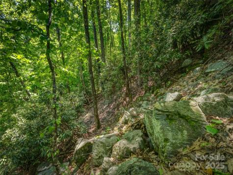 0000 Dotsi Drive Brevard NC 28712