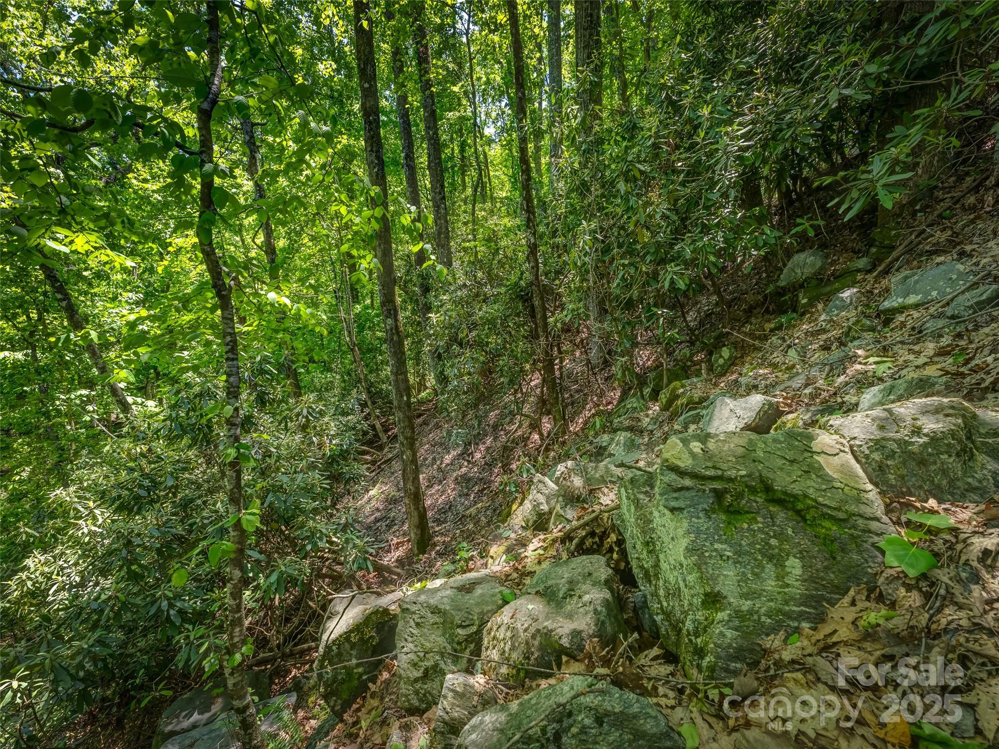 0000 Dotsi Drive Brevard NC 28712