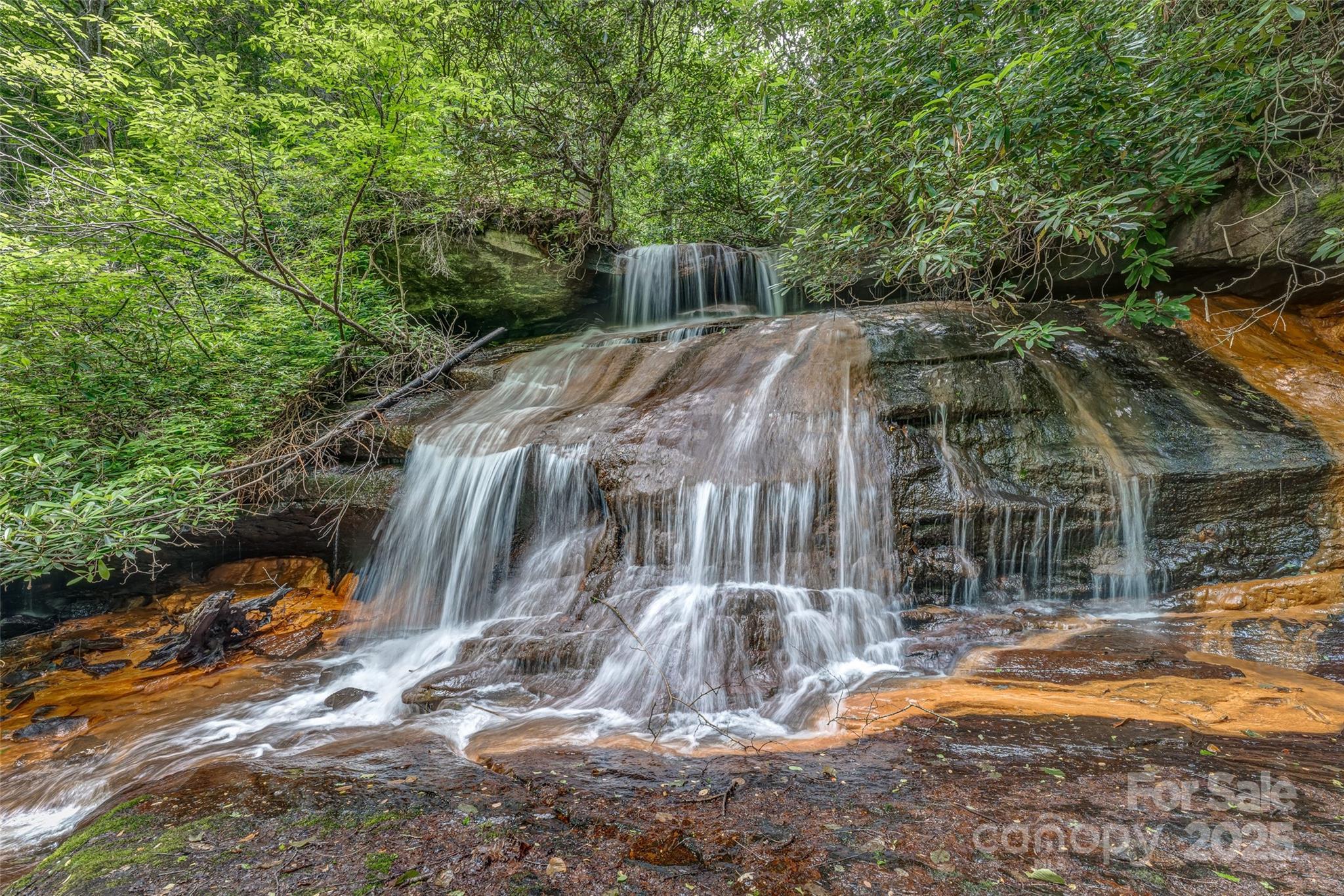 0000 Dotsi Drive Brevard NC 28712
