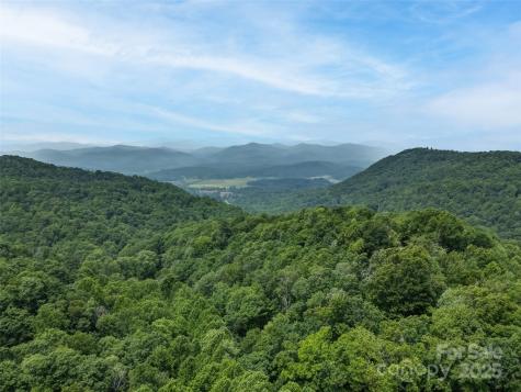 0000 Dotsi Drive Brevard NC 28712