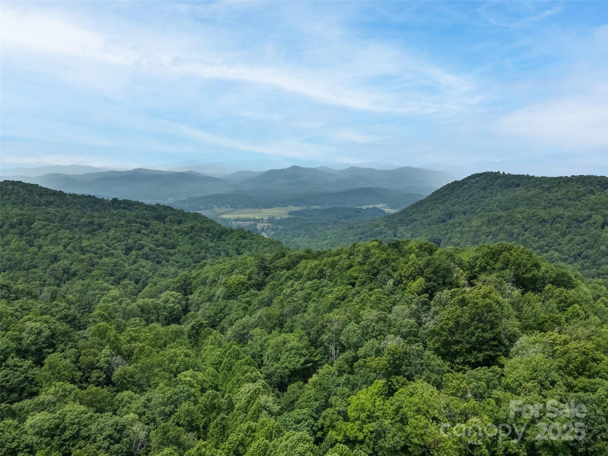 0000 Dotsi Drive Brevard NC 28712