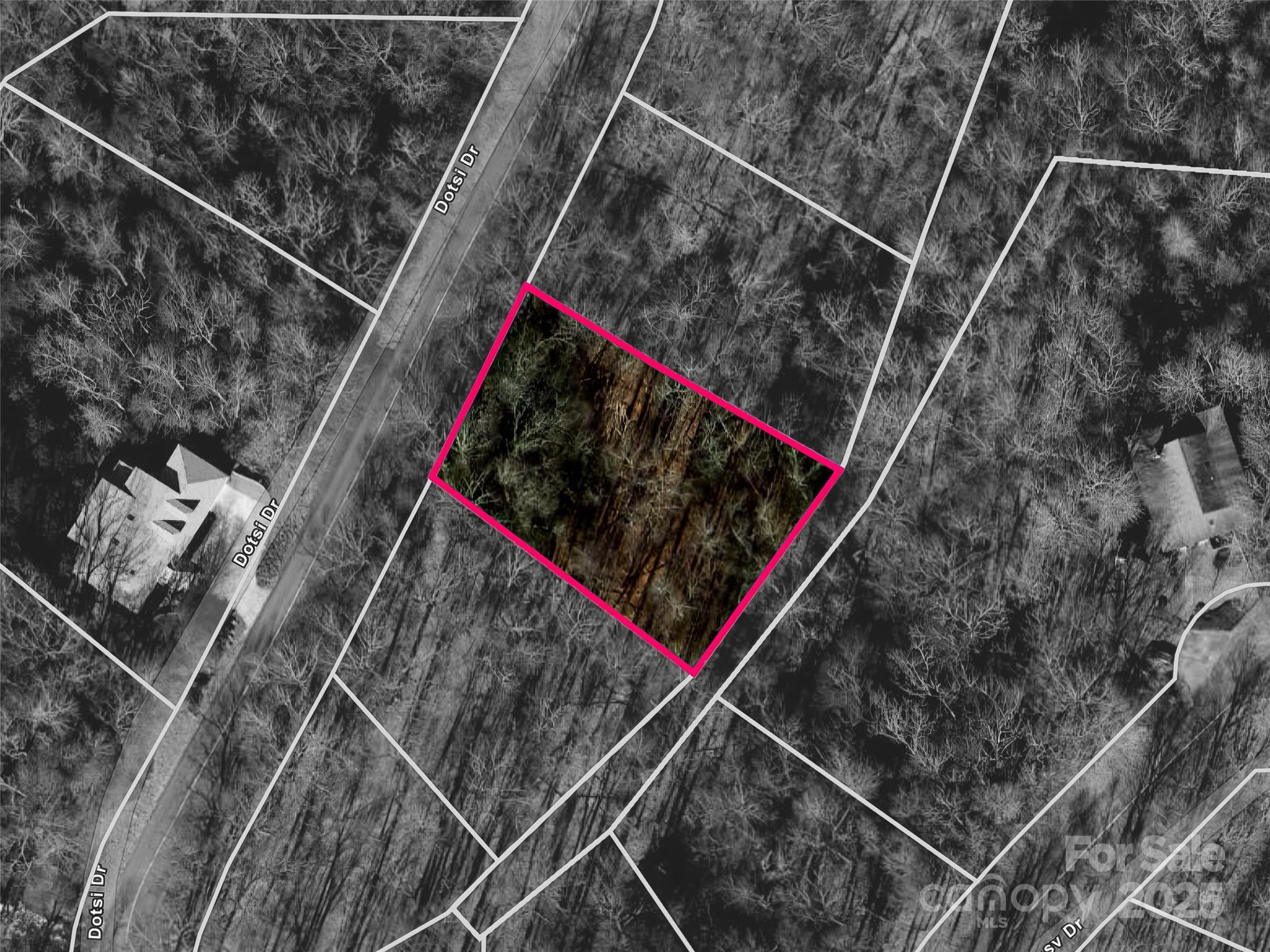 0000 Dotsi Drive Brevard NC 28712