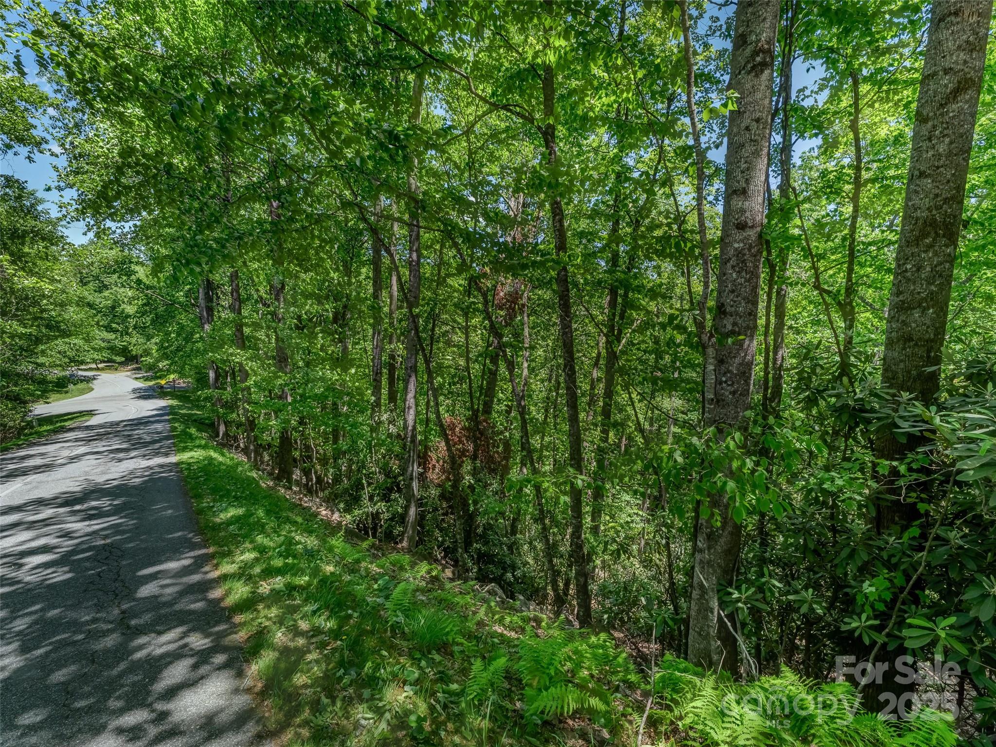 0000 Dotsi Drive Brevard NC 28712