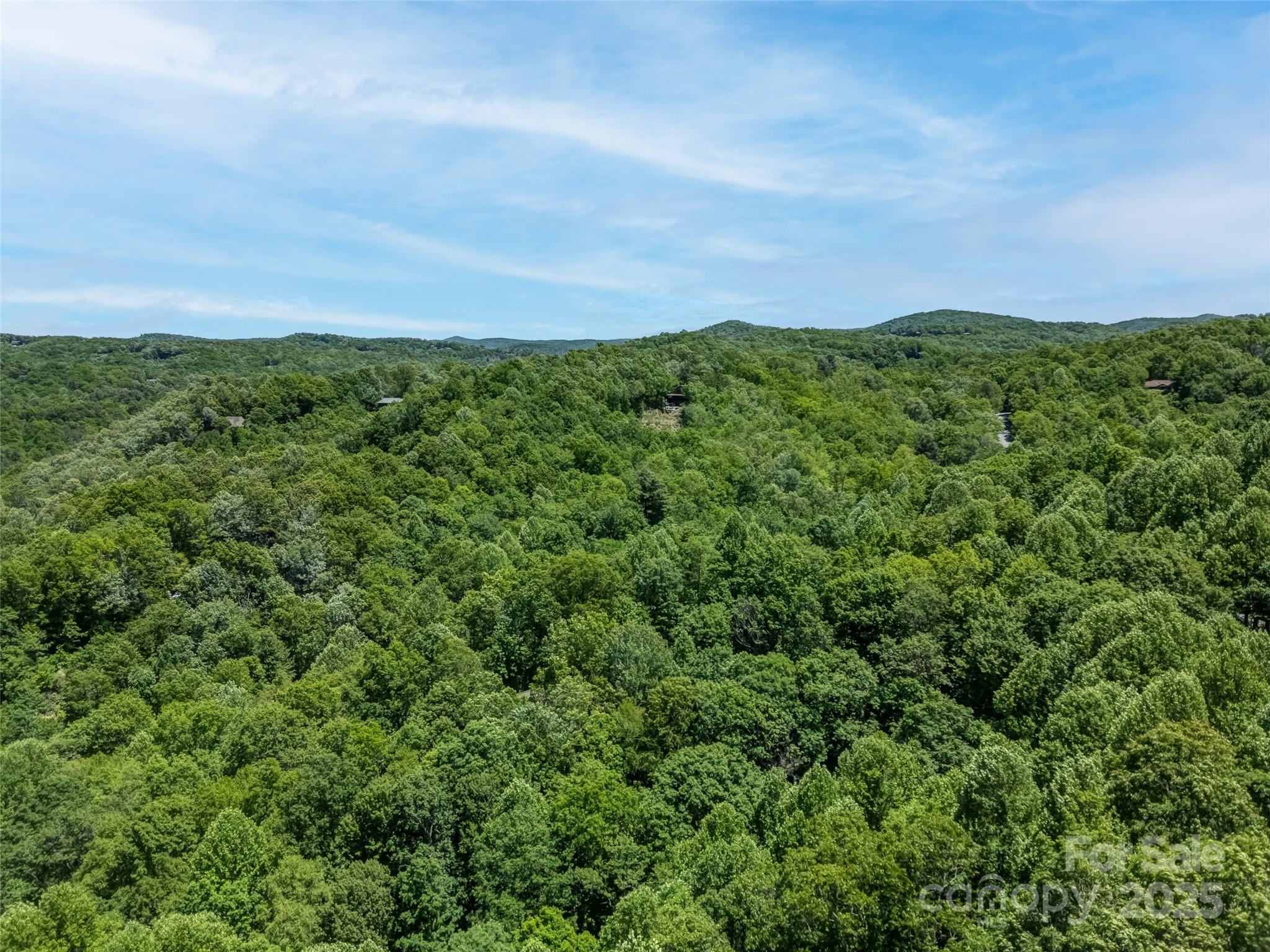 0000 Dotsi Drive Brevard NC 28712