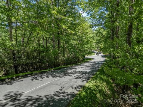 0000 Dotsi Drive Brevard NC 28712