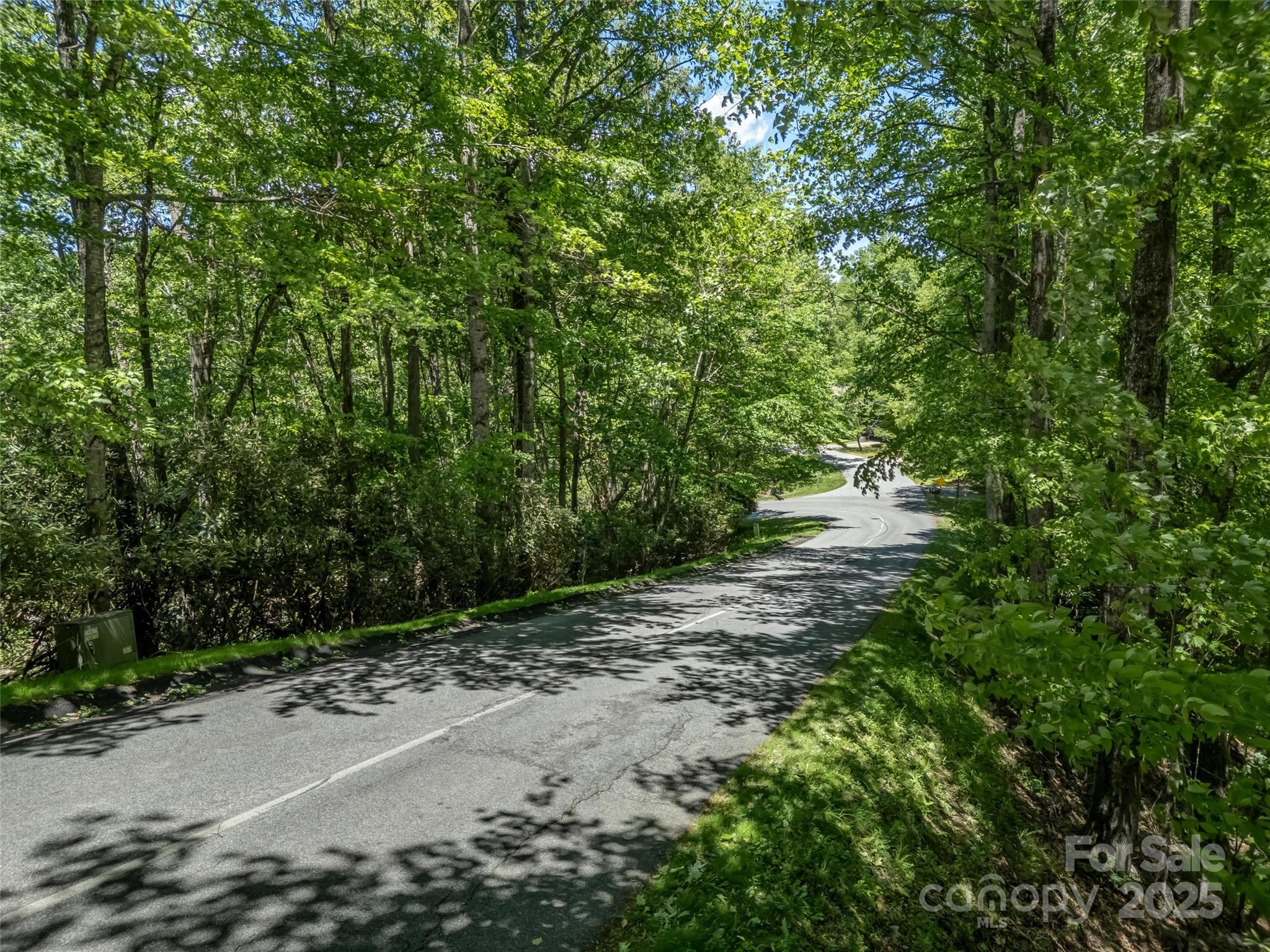 0000 Dotsi Drive Brevard NC 28712