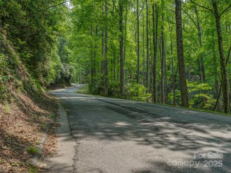 0000 Dotsi Drive Brevard NC 28712