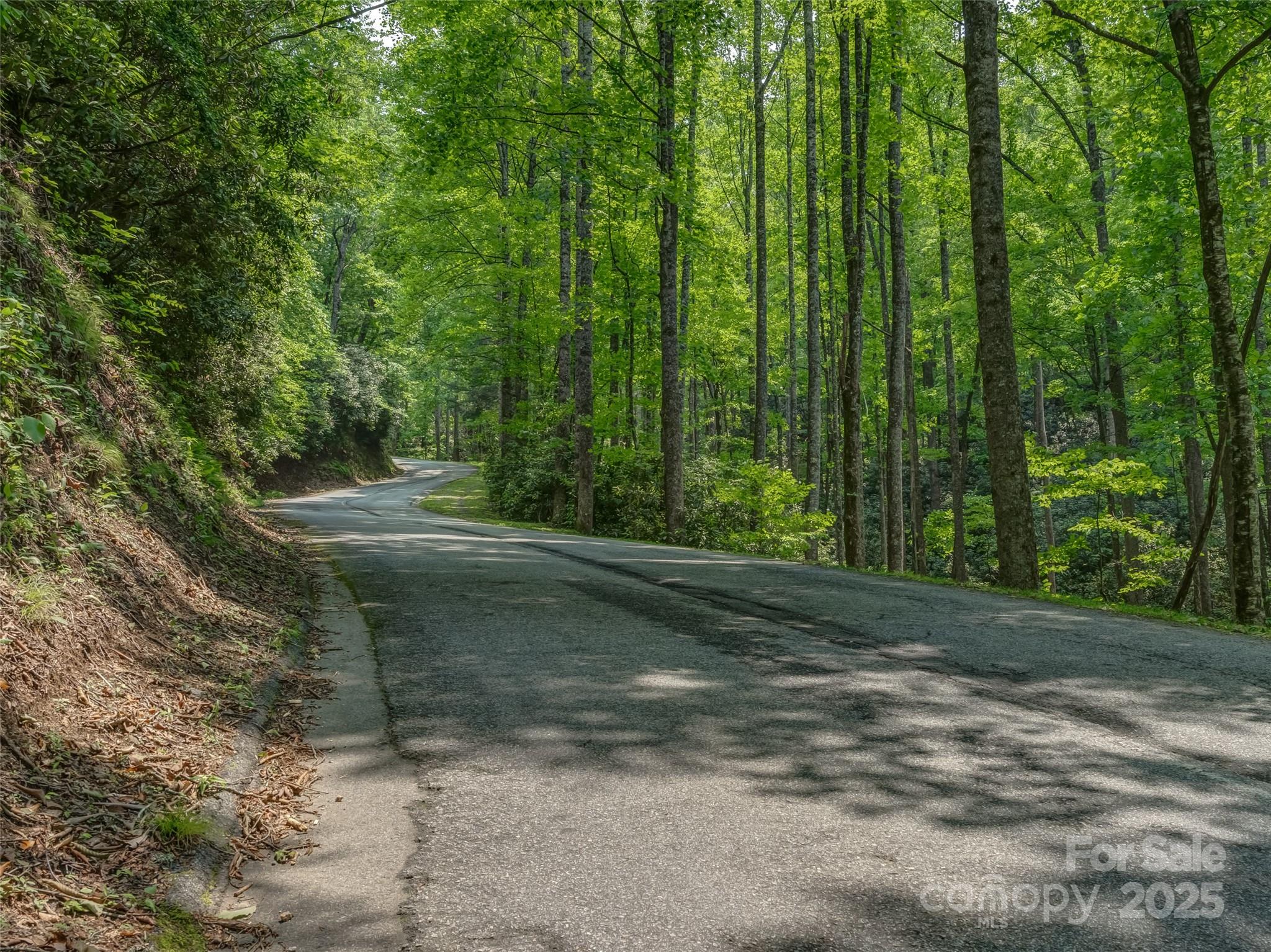0000 Dotsi Drive Brevard NC 28712