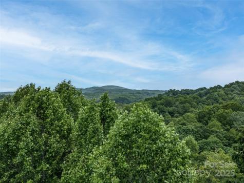 0000 Dotsi Drive Brevard NC 28712
