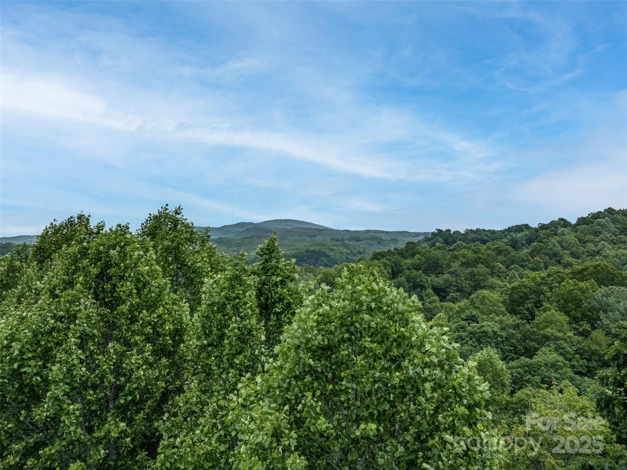 0000 Dotsi Drive Brevard NC 28712