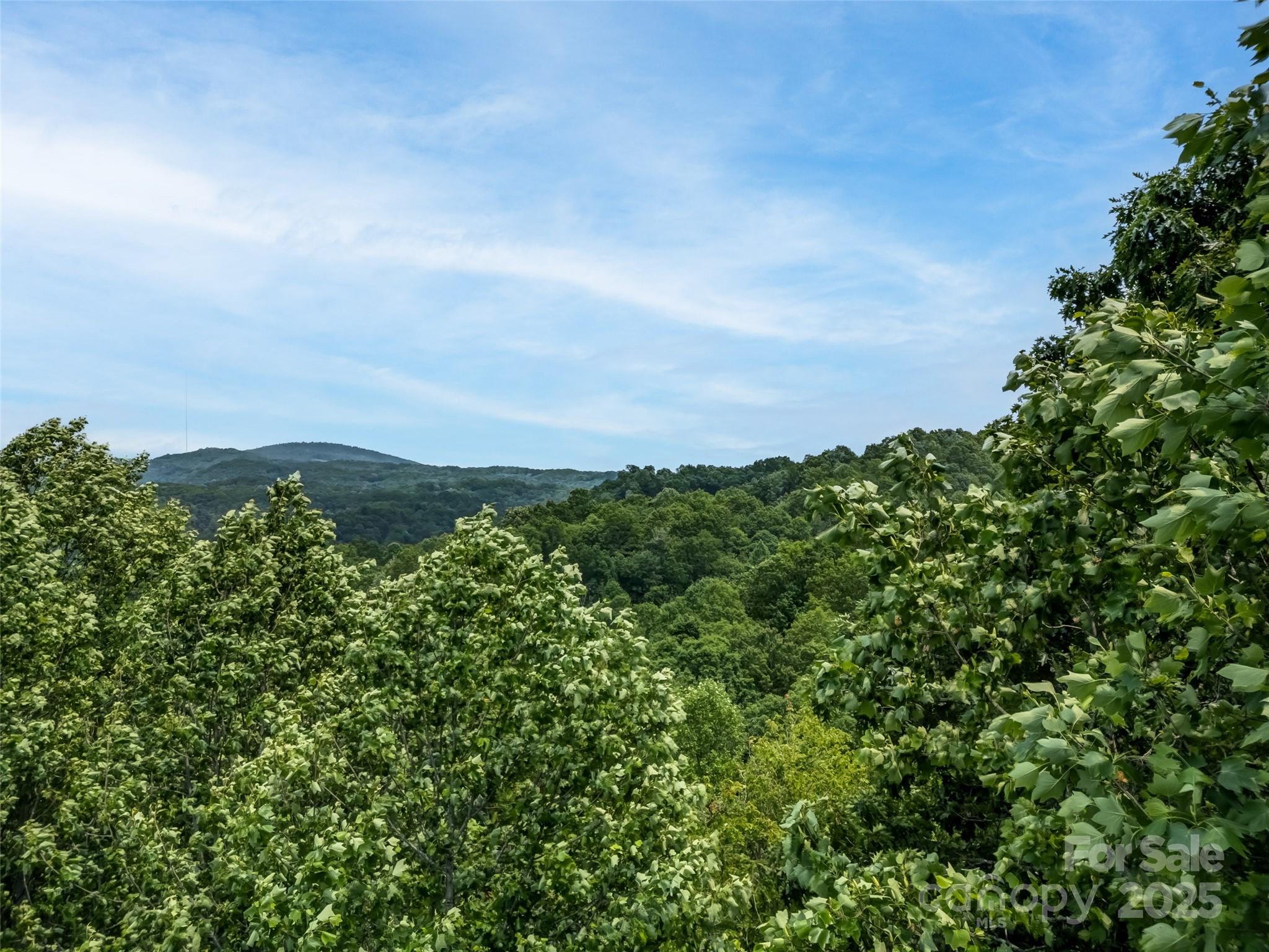 0000 Dotsi Drive Brevard NC 28712
