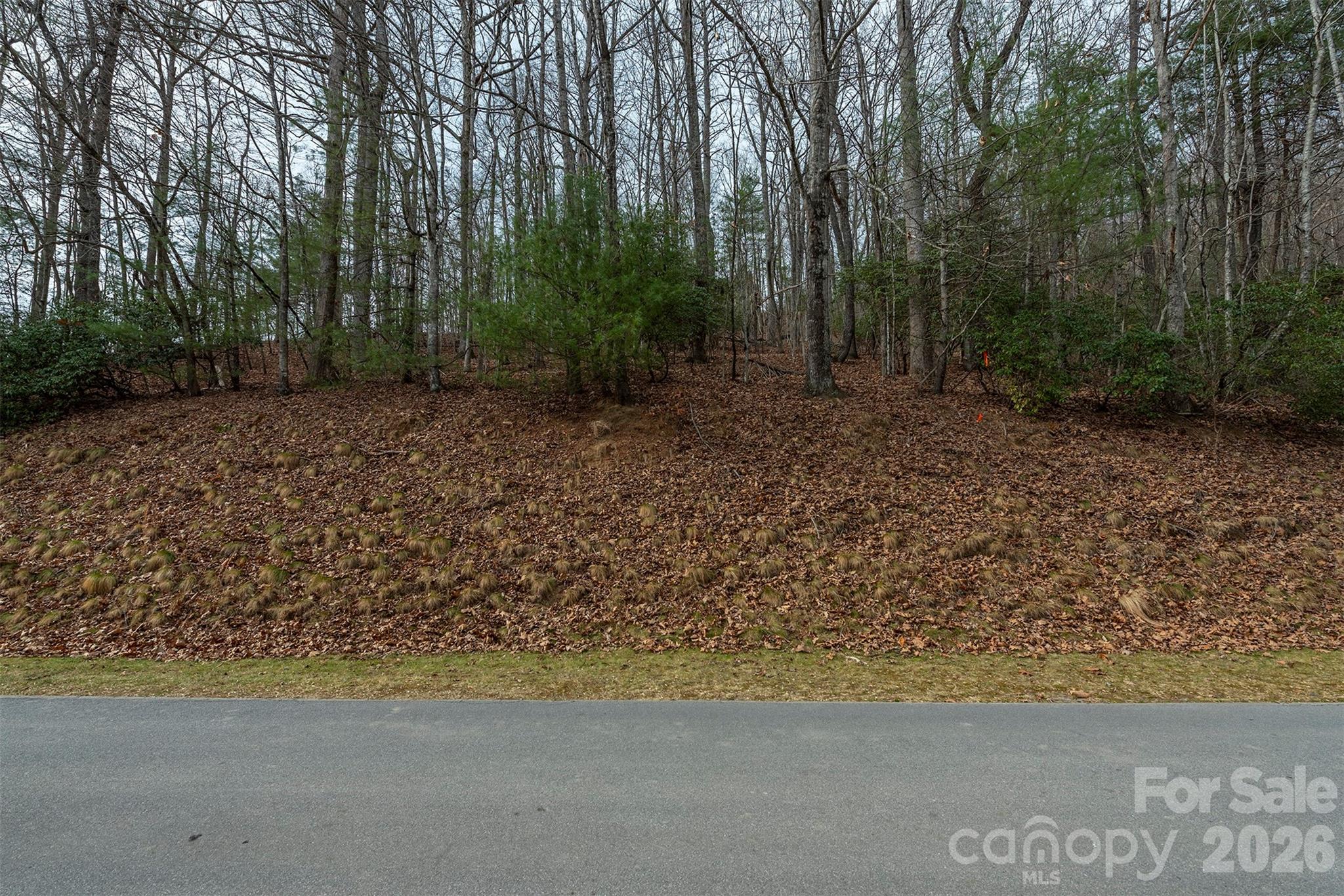 24 Falls Lane Hendersonville NC 28739