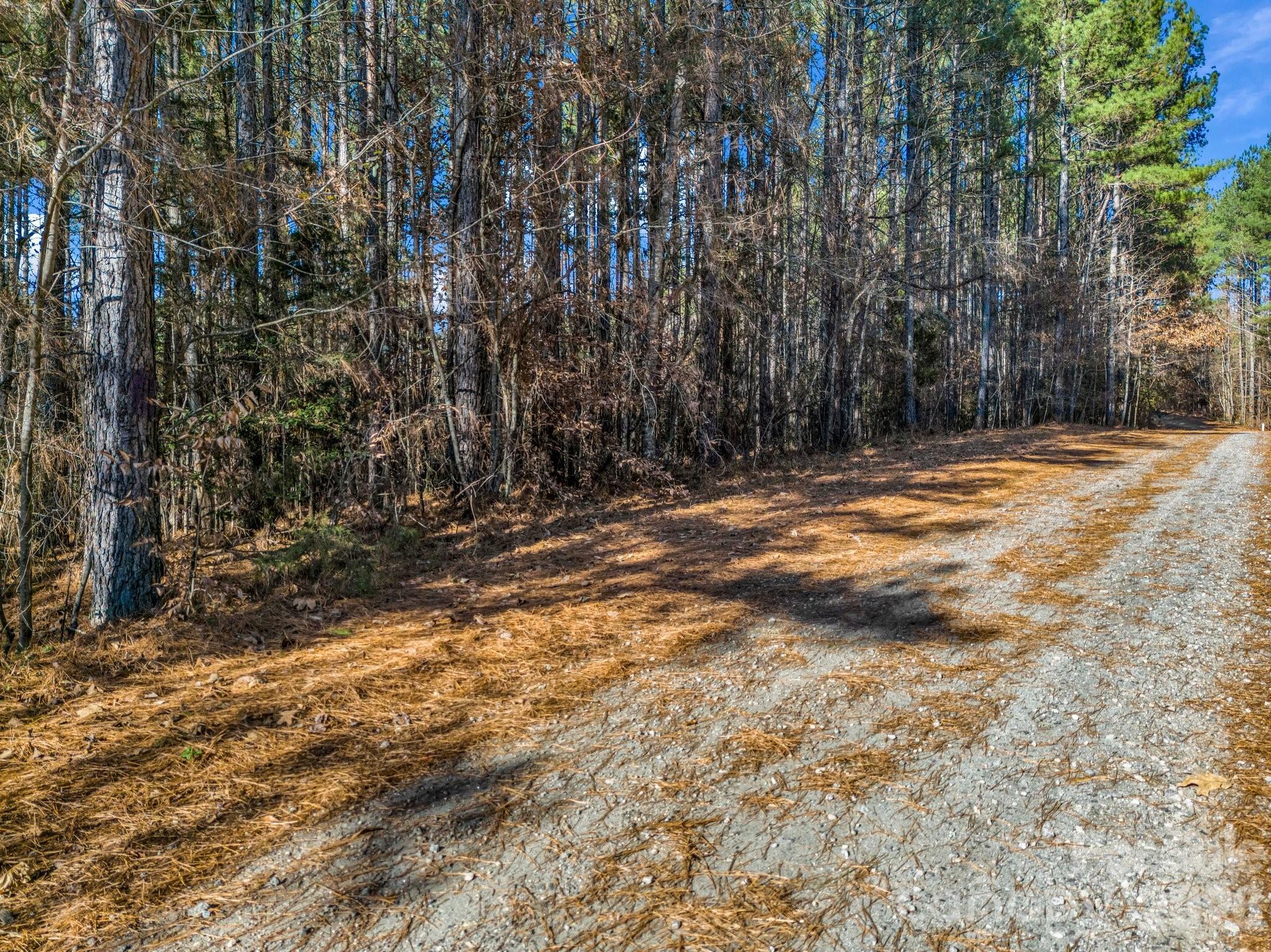 0 Farmer Johns Trail Rutherfordton NC 28139