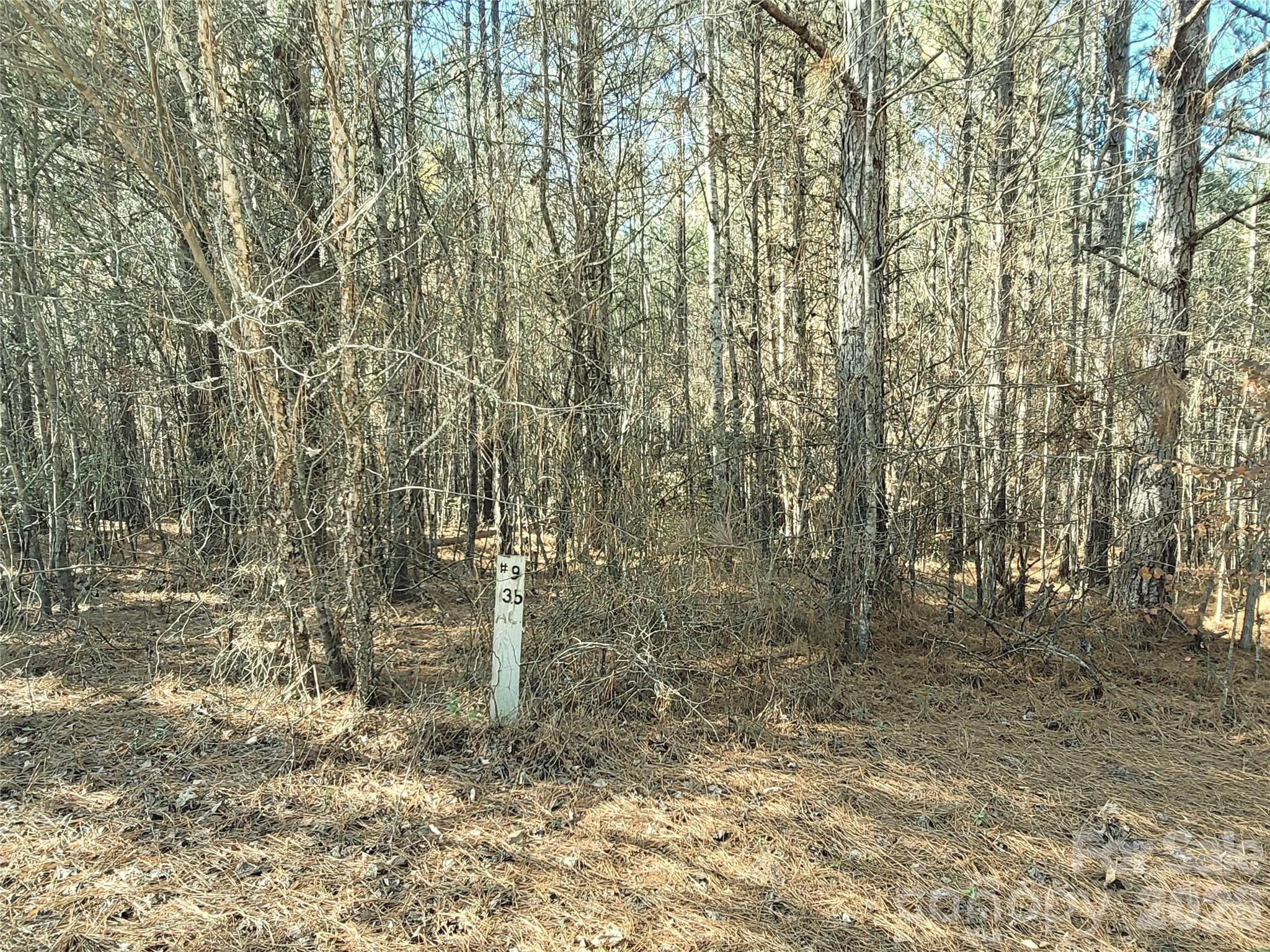 0 Farmer Johns Trail Rutherfordton NC 28139