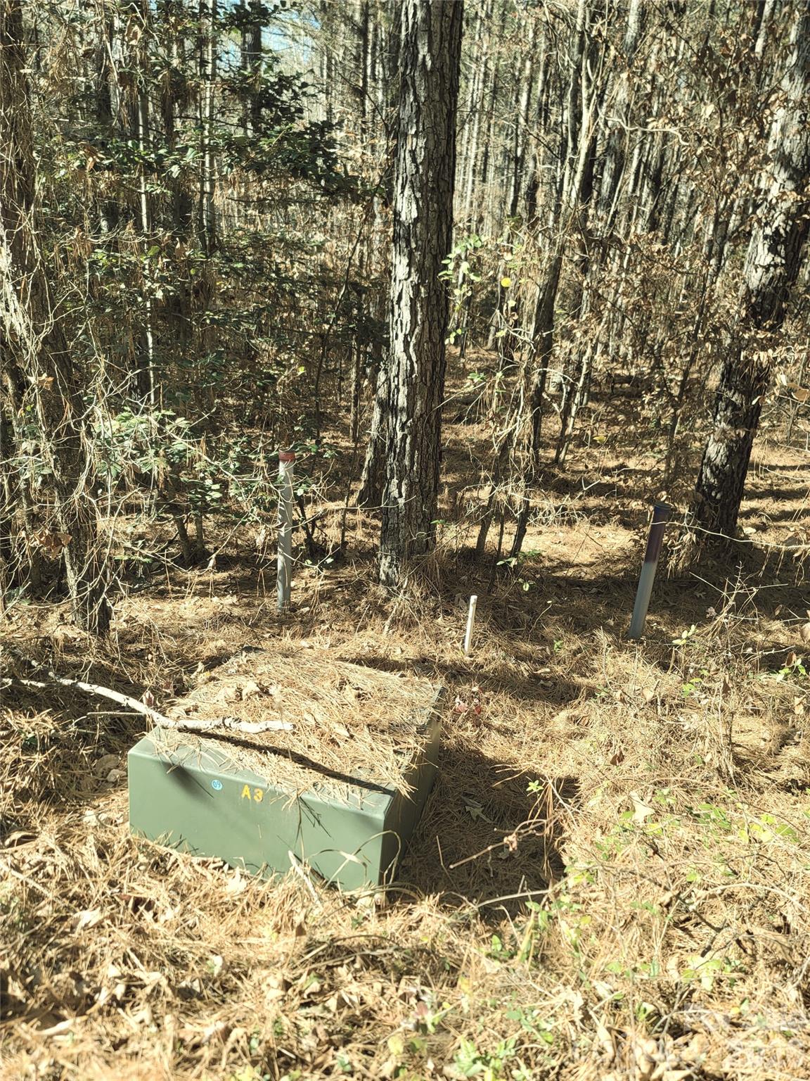 0 Farmer Johns Trail Rutherfordton NC 28139