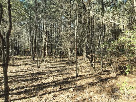 0 Farmer Johns Trail Rutherfordton NC 28139