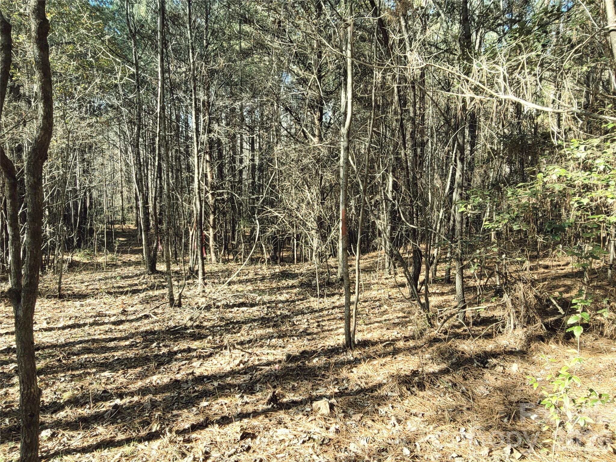 0 Farmer Johns Trail Rutherfordton NC 28139