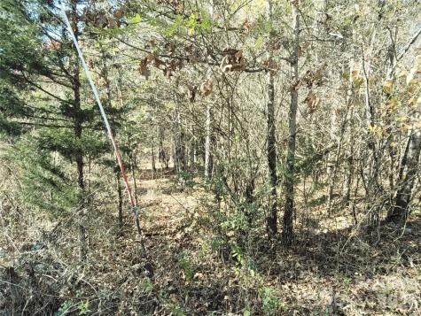 0 Farmer Johns Trail Rutherfordton NC 28139